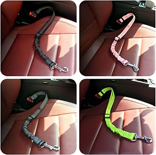 Laisse ceinture de sécurité voiture pour chien 