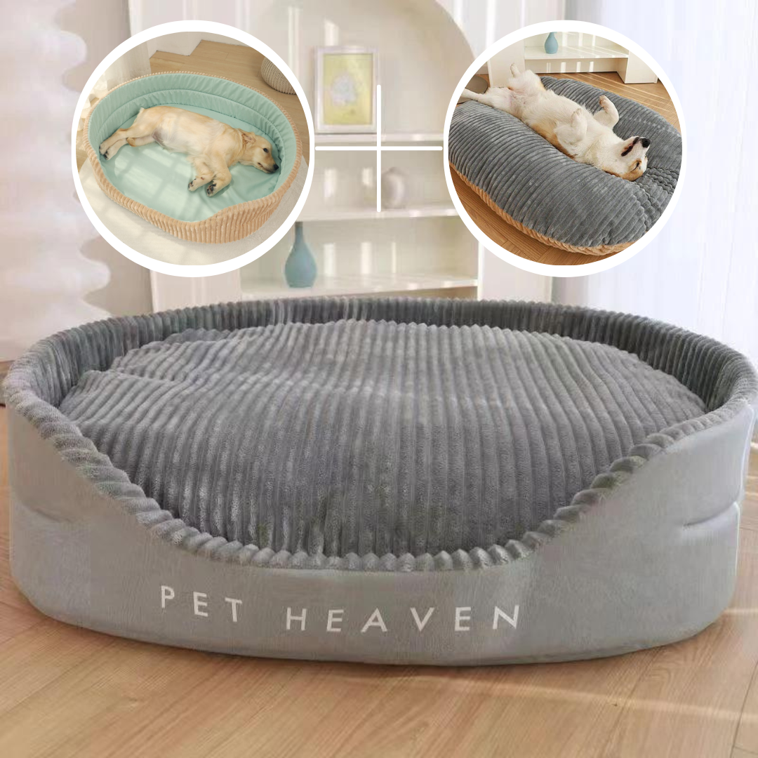 Lit paradis pour chien