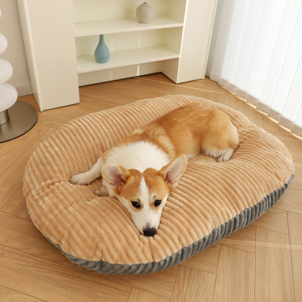 Coussin lit paradis pour chien
