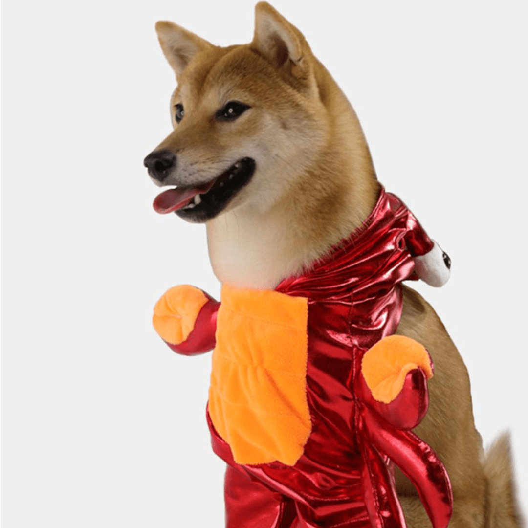 Déguisement crabe pour chat et chien
