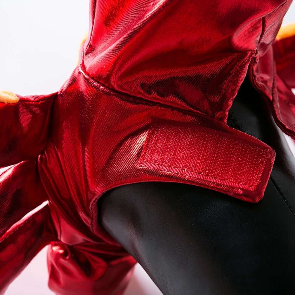 Détails de notre déguisement de crabe pour chat et chien