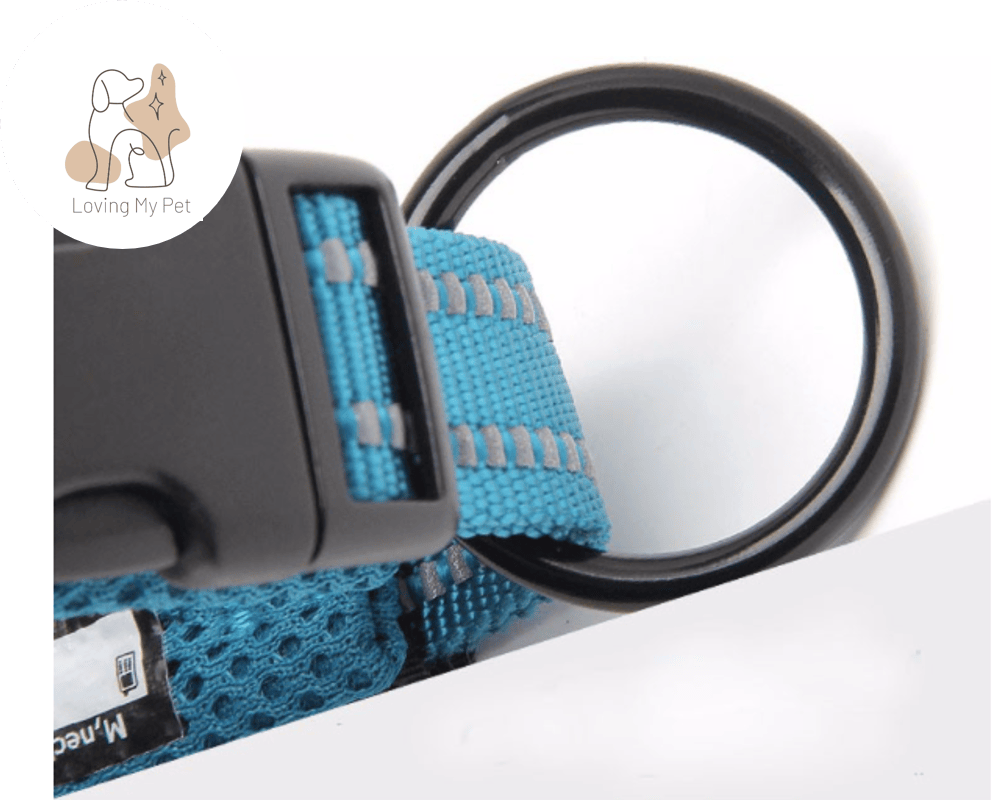 Collier en nylon pour chien