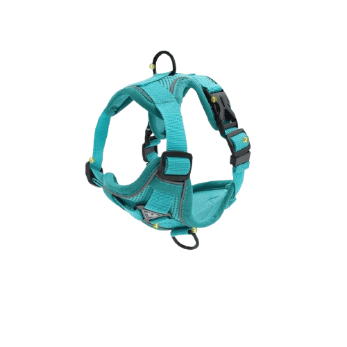 Harnais pour chien et chat avec double crochets