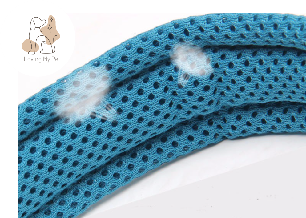 Collier respirant en nylon pour chien 