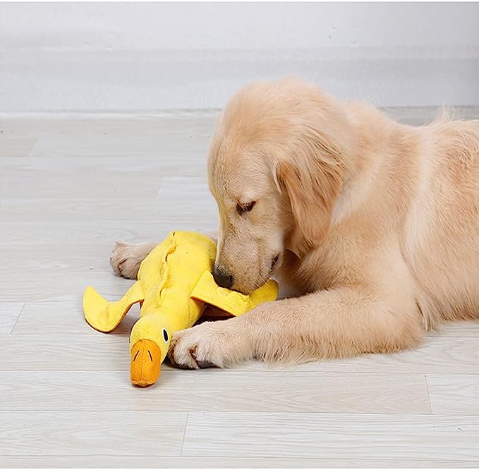 Jouet de fouille pour chien en forme de canard