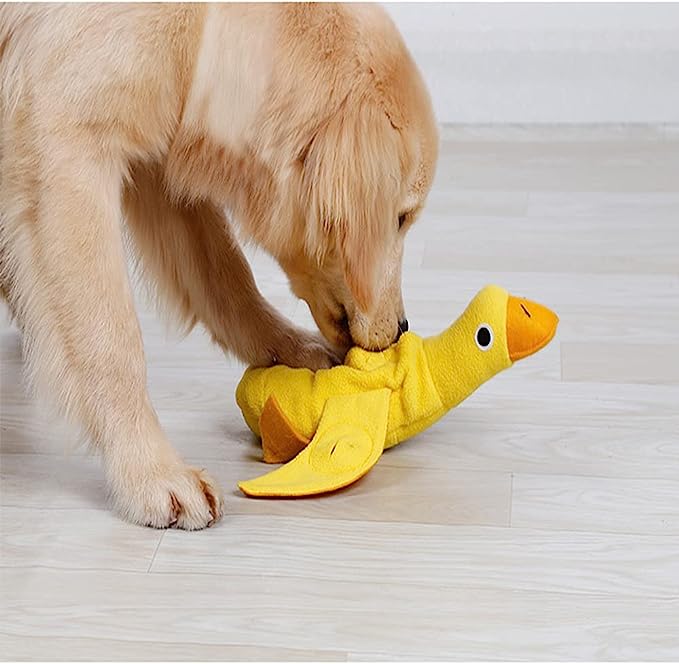 Chien qui joue avec notre jeu de fouille en forme de canard