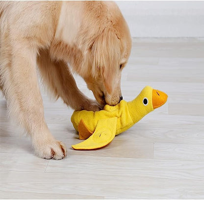 Chien qui joue avec notre jeu de fouille en forme de canard