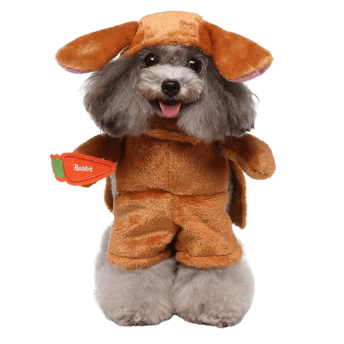 Déguisement pour chat et chien - Lapin
