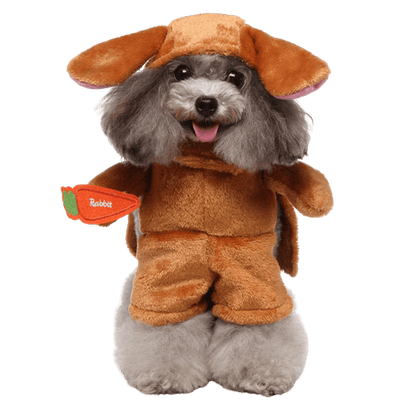 Déguisement pour chat et chien - Lapin