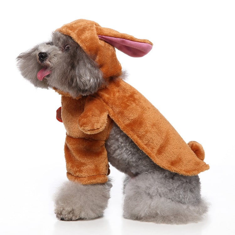 Déguisement pour chat et chien - Lapin