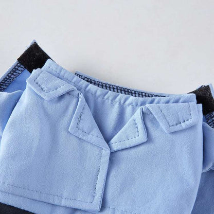 Déguisement pour chat et chien - Livreur