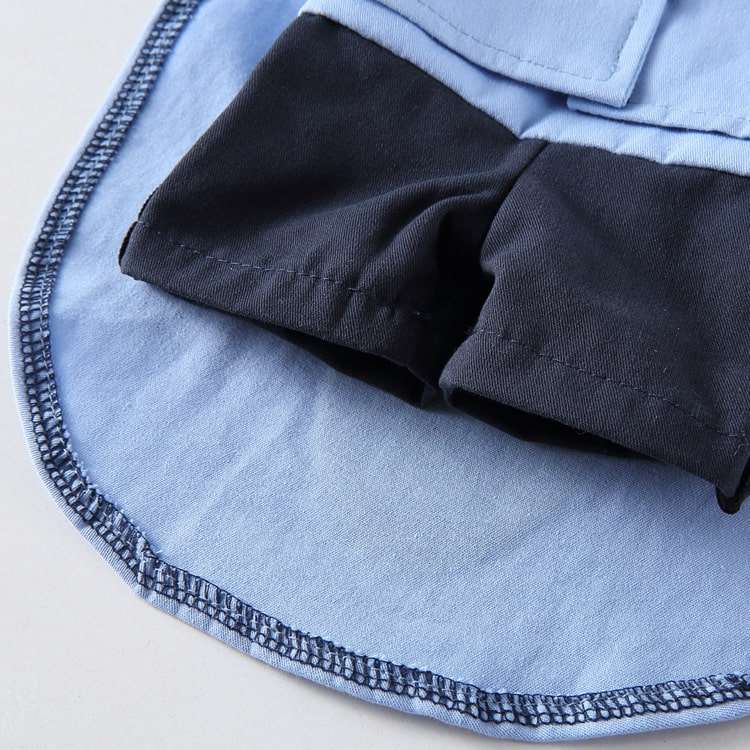 Déguisement pour chat et chien - Livreur