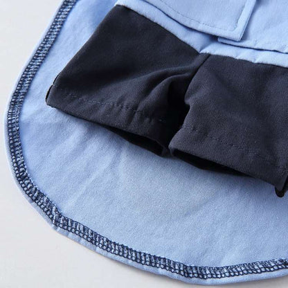 Déguisement pour chat et chien - Livreur