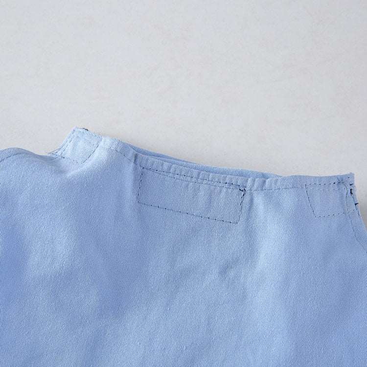 Déguisement pour chat et chien - Livreur