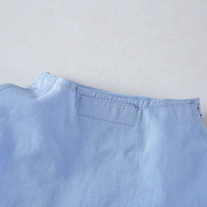 Déguisement pour chat et chien - Livreur