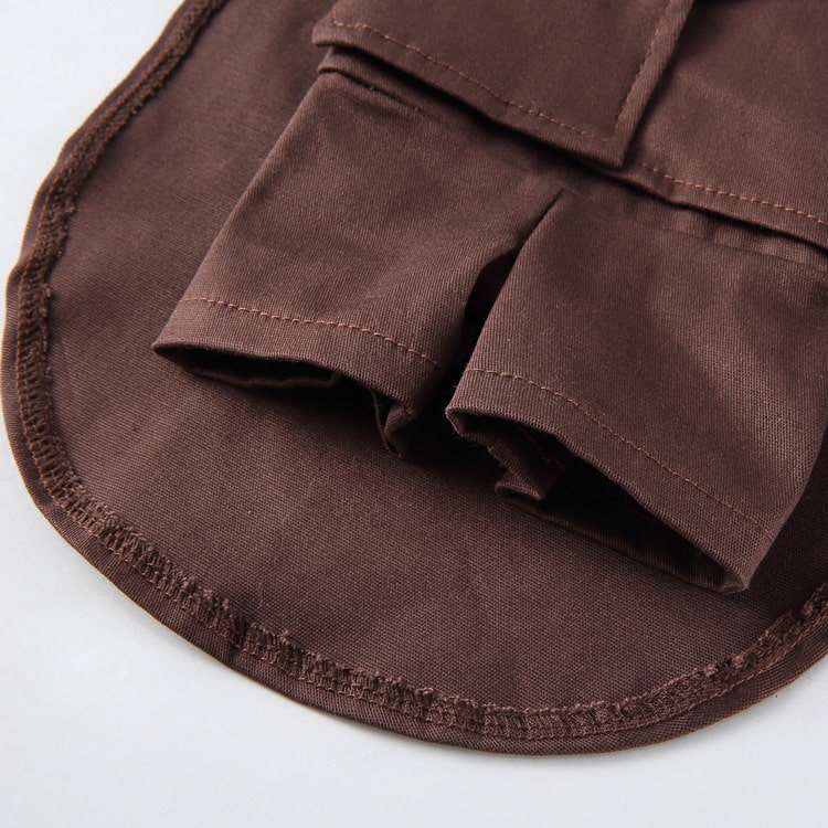 Déguisement pour chat et chien - Livreur de colis