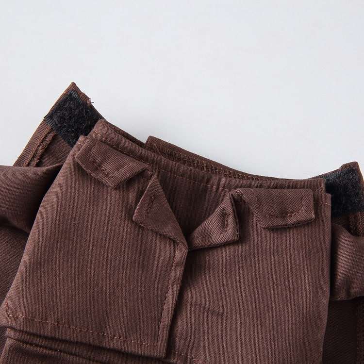 Déguisement pour chat et chien - Livreur de colis