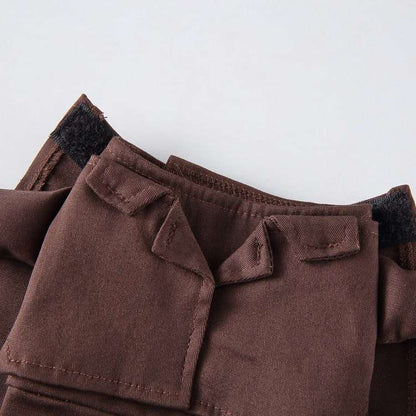 Déguisement pour chat et chien - Livreur de colis