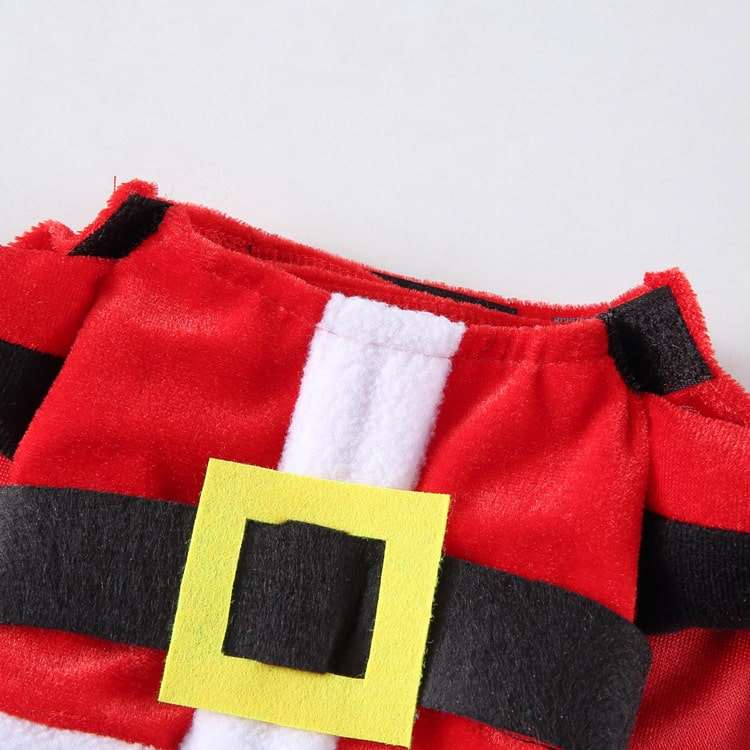 Déguisement pour chat et chien - Père Noël