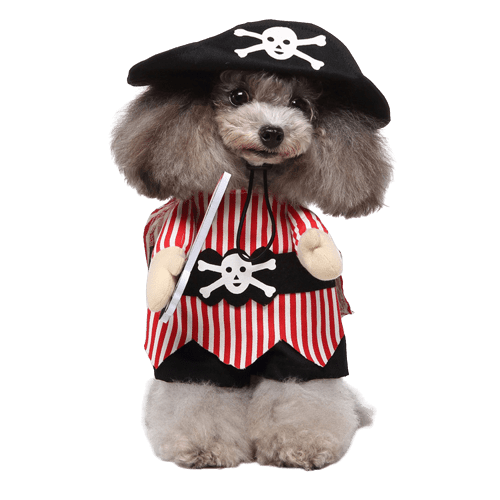 Déguisement pour chat et chien - Pirates