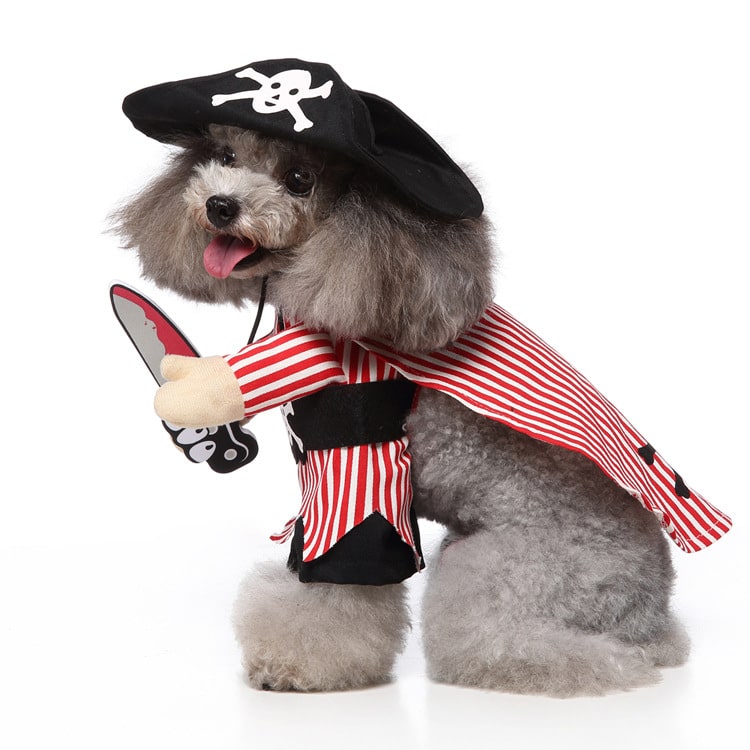 Déguisement pour chat et chien - Pirates