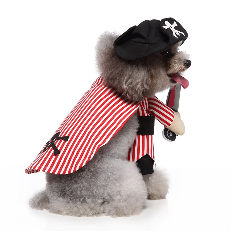 Déguisement pour chat et chien - Pirates