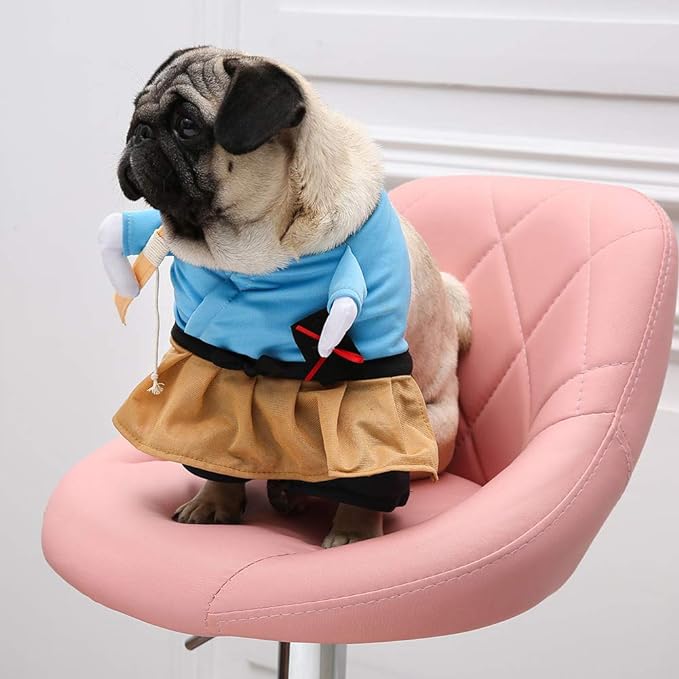 Déguisement pour chat et chien - Samouraï