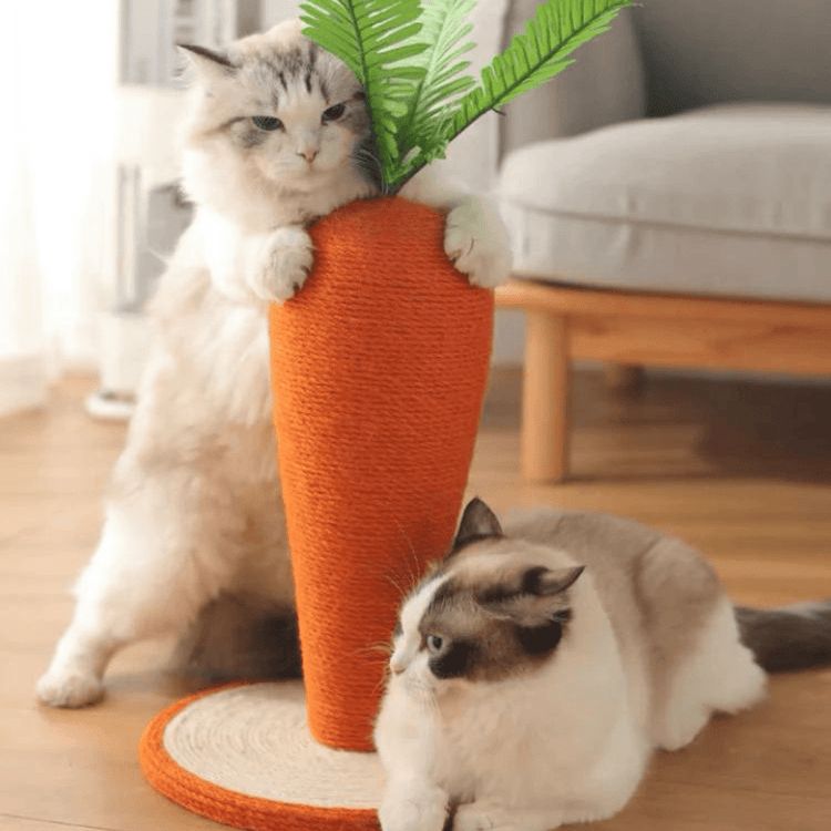 Design original de notre griffoir pour chat en forme de carotte