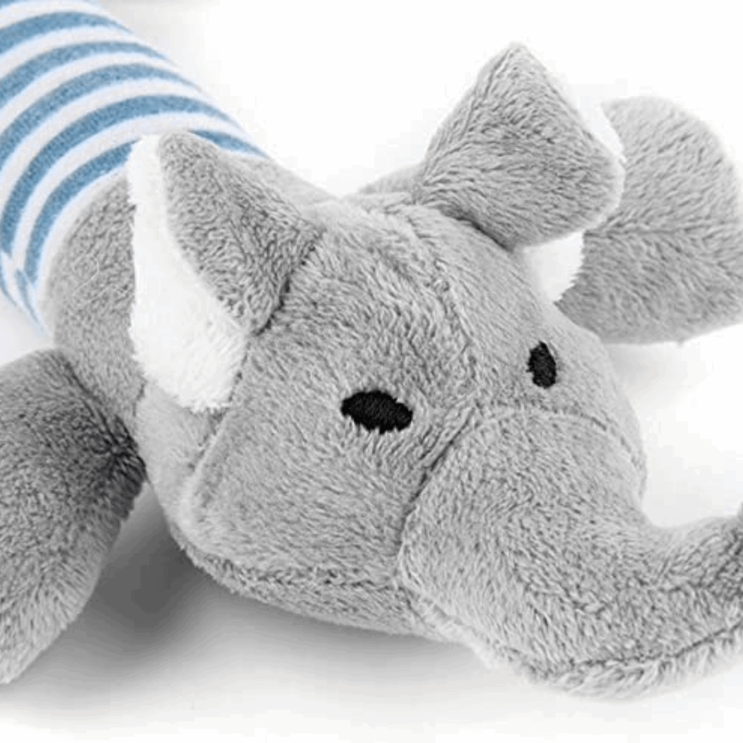 Peluche longue en forme d'éléphant pour chien