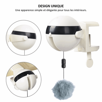 Design unique de notre jeu interactif avec balle suspendue pour chat