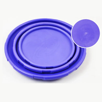 Dessous de nos frisbee pour chien
