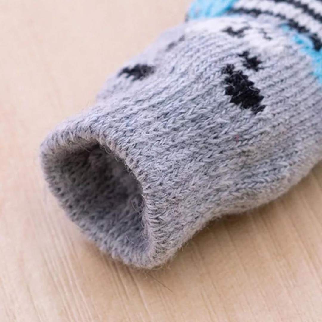 Chaussettes pour chien Ours gris et bleu