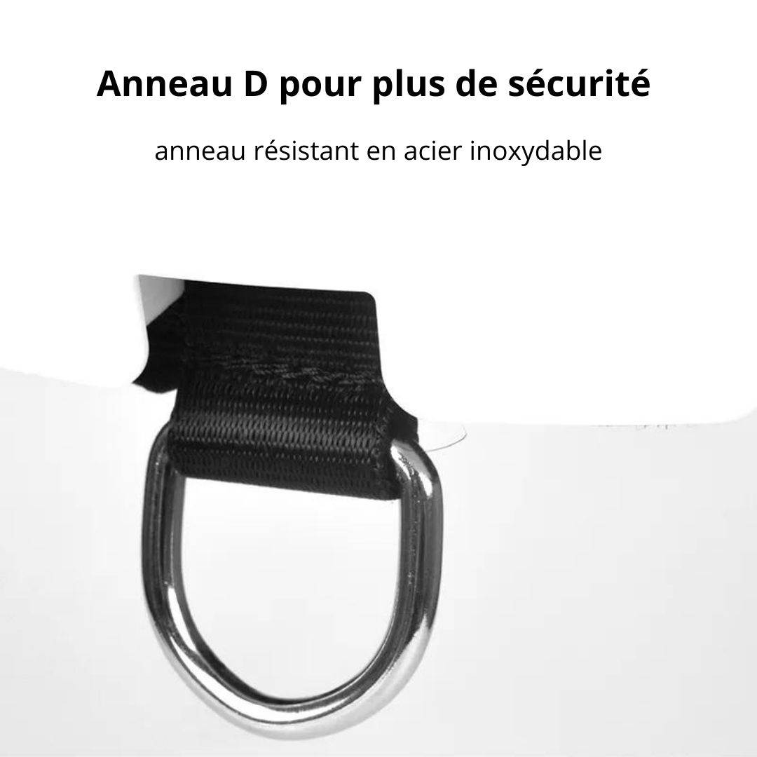 Détails de notre harnais avec LED pour chien