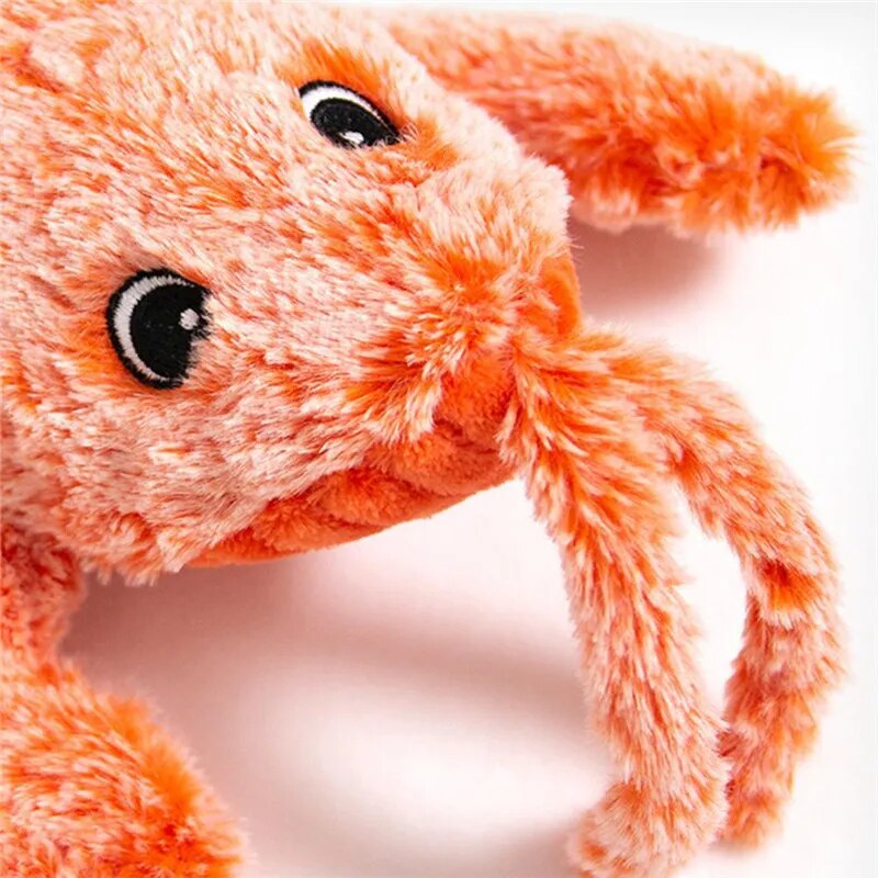 Jouet interactif écrevisse pour animaux