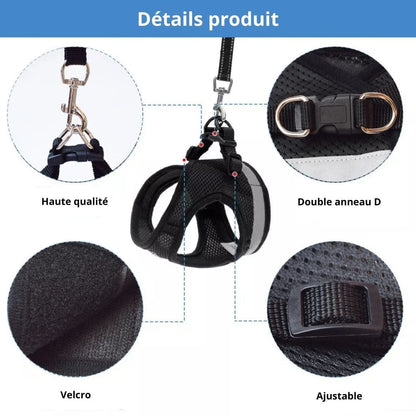 Détails de notre harnais réfléchissant