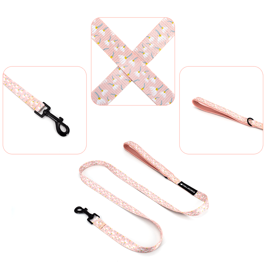 Détails de notre laisse rose pour petit chien