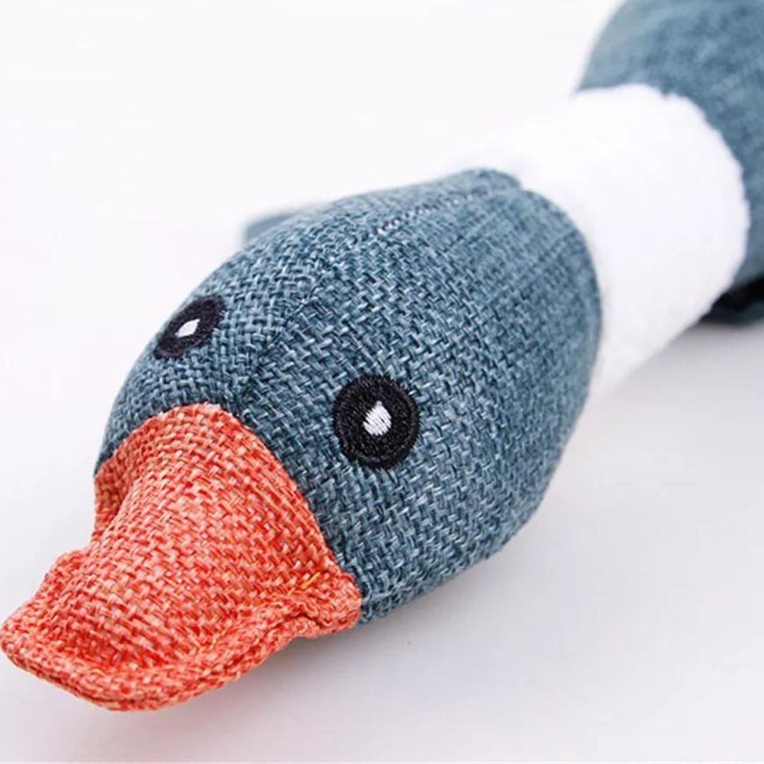 Peluche canard avec couineur pour chien