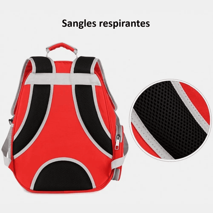 Détails du sac à dos de transport pour animaux