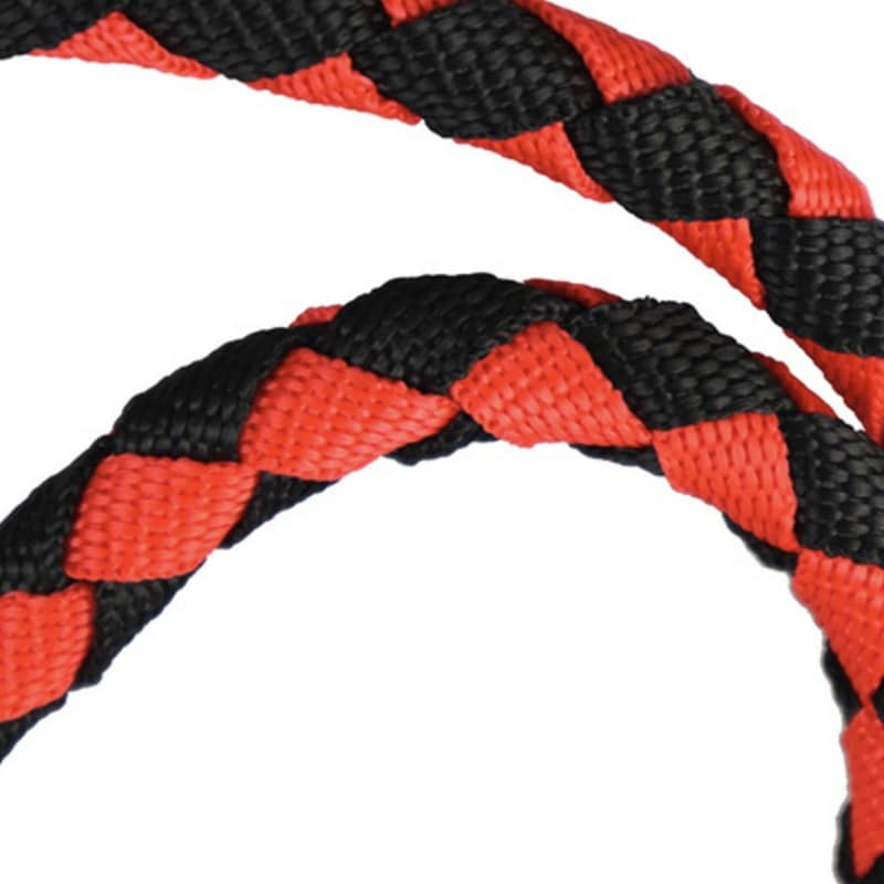 Détails de la double laisse pour chien