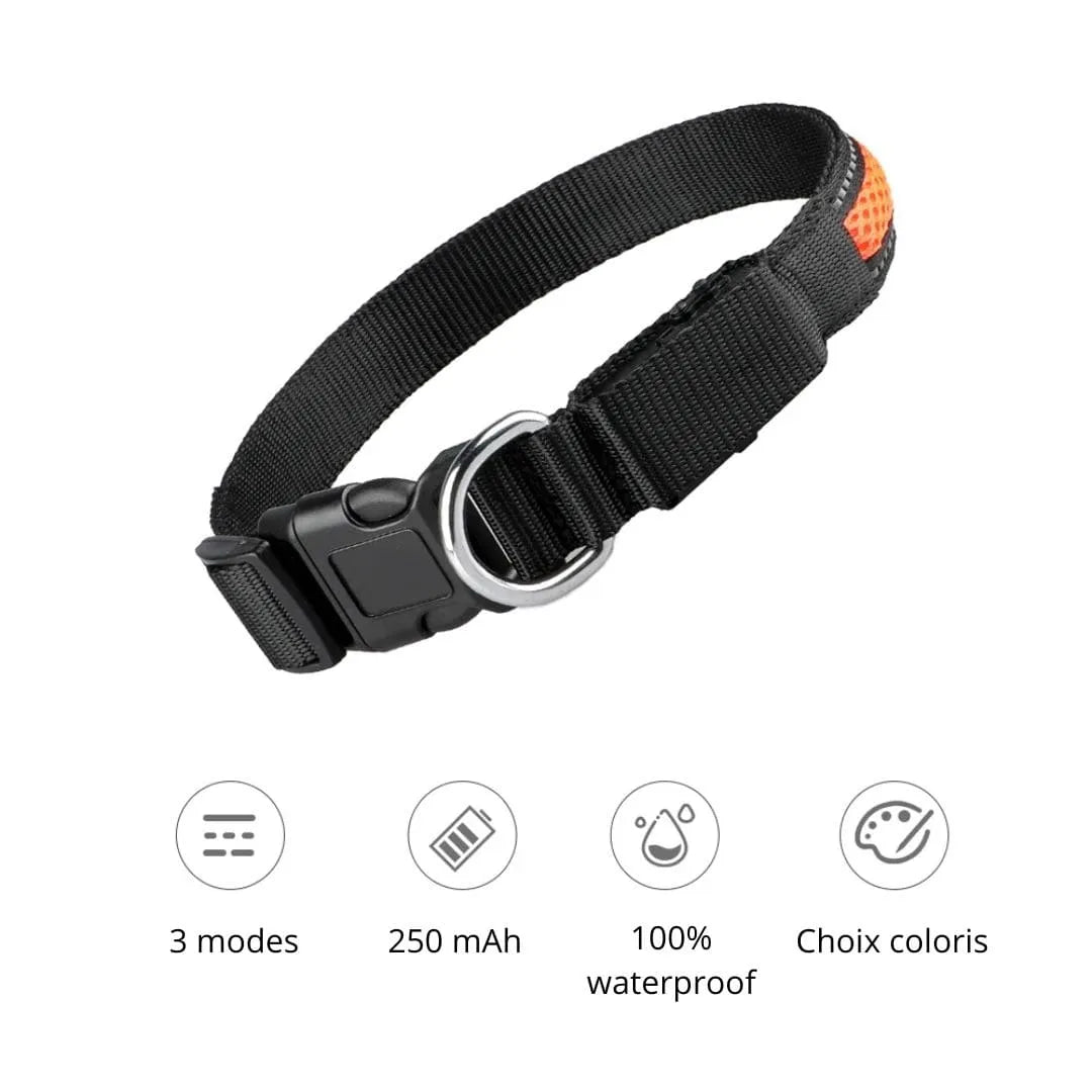 Détails de notre collier en nylon avec lumière Led pour chien