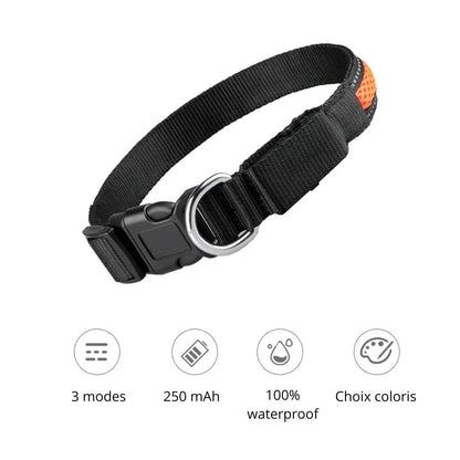 Détails de notre collier en nylon avec lumière Led pour chien