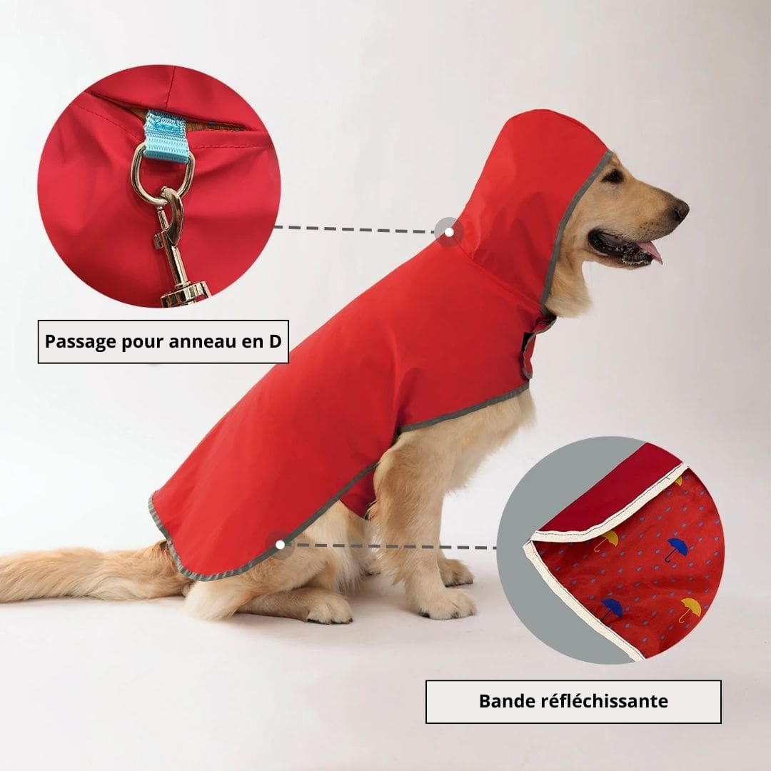 Détails de notre imperméable réversible pour chien