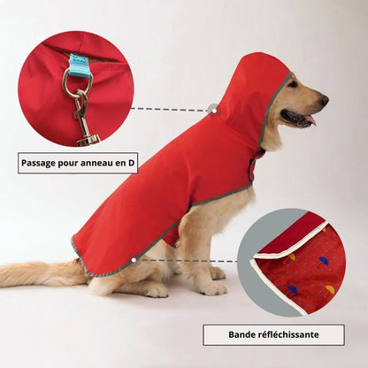 Détails de notre imperméable réversible pour chien