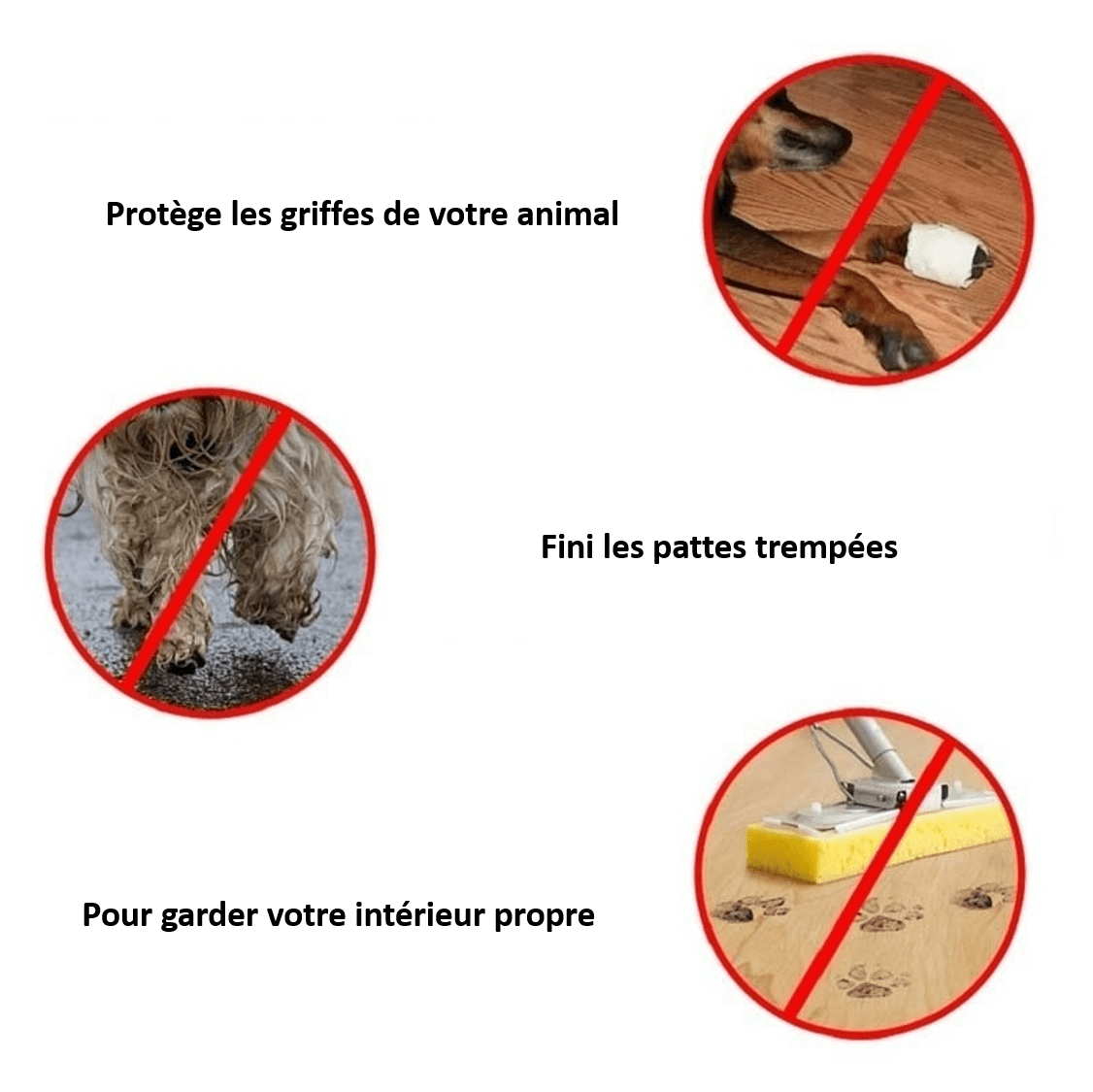 Avantages de notre chaussure imperméable pour chien