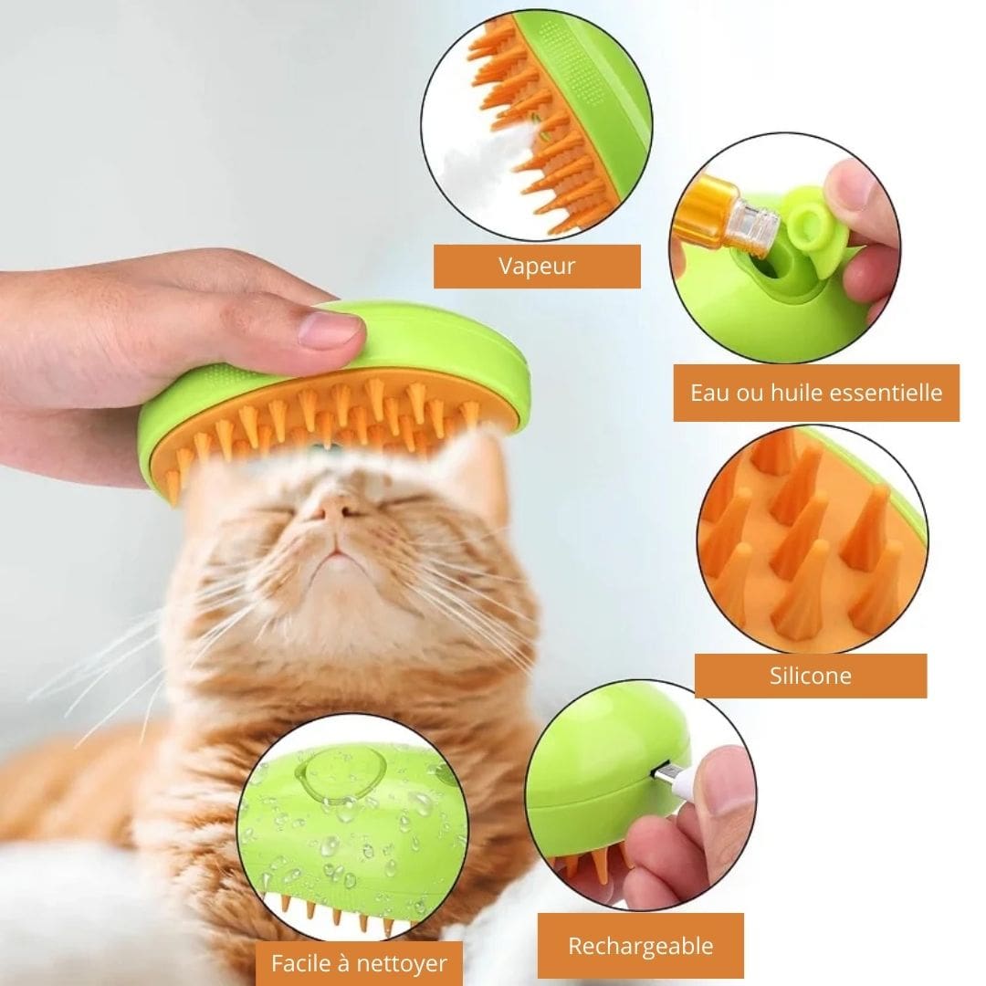 Détails de notre brosse vapeur pour chat et chien