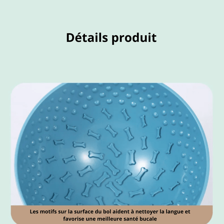 Détails de notre bol à lécher pour chien