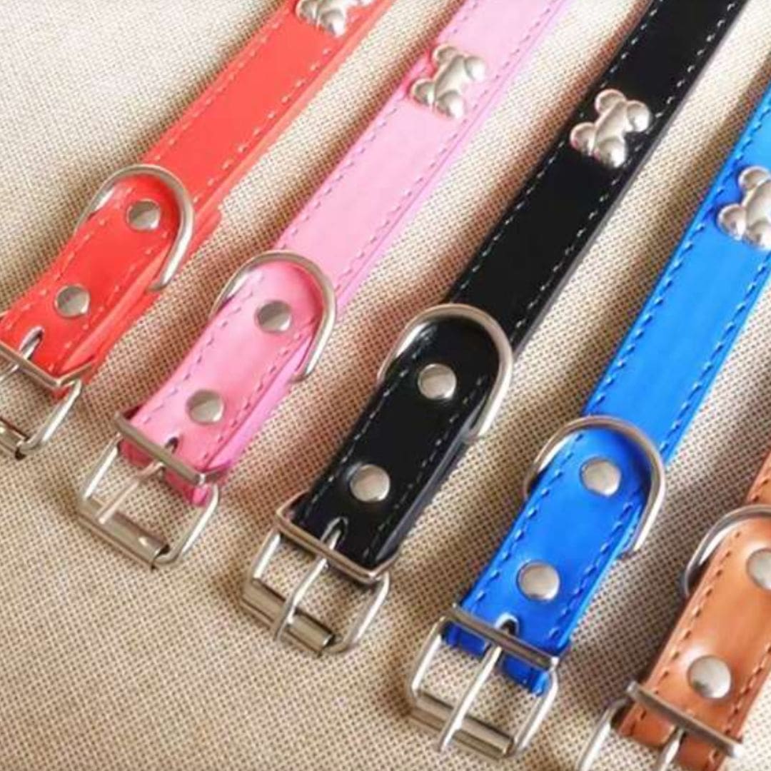 Détails de notre collier à motifs os pour chien et chat