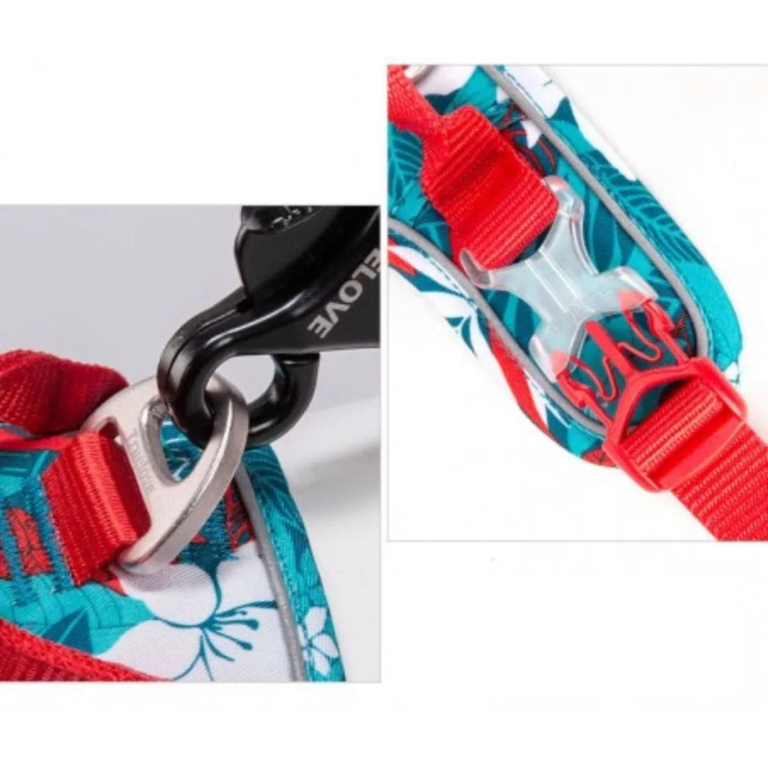 Détails de notre harnais anti traction pour chien - Edition Floral