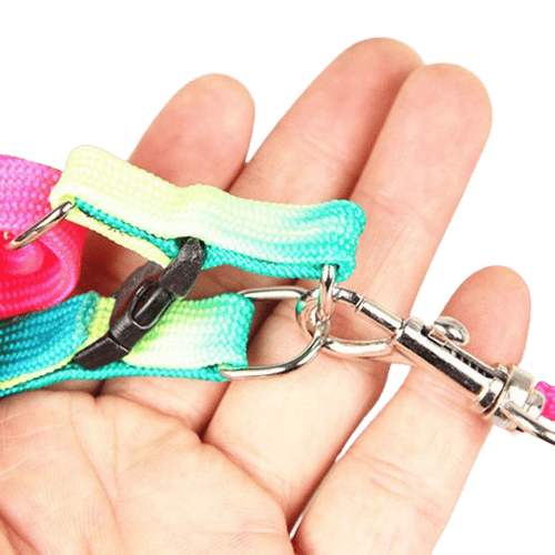 Détails du harnais arc-en-ciel pour animaux