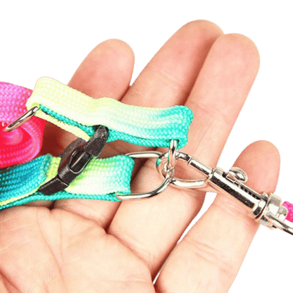 Détails du harnais arc-en-ciel pour animaux